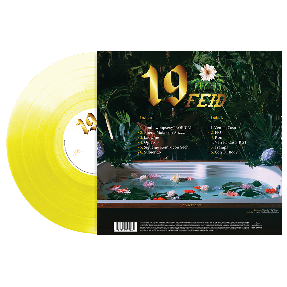 19 1LP Vinyl back