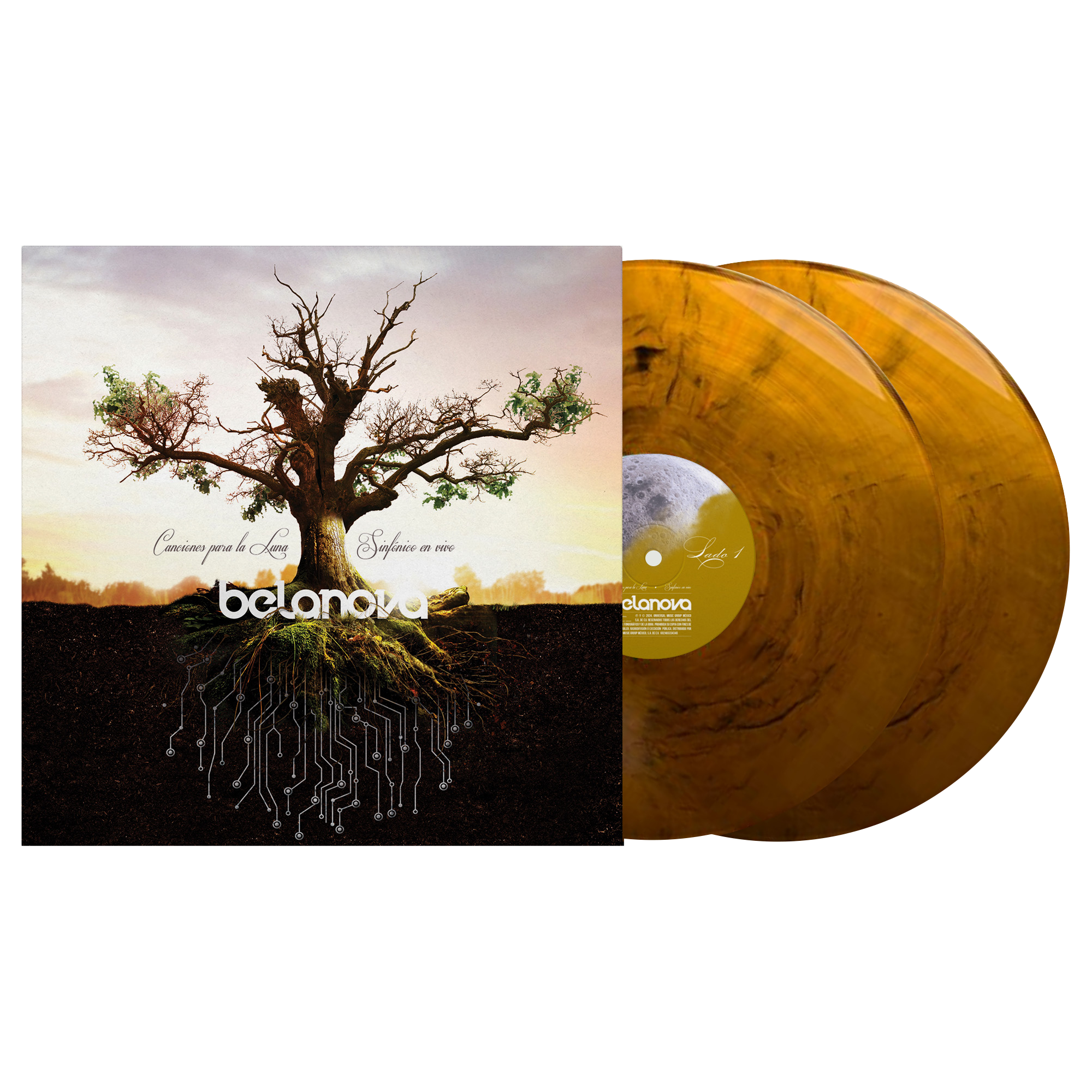 Canciones Para La Luna 2 LP Vinyl front